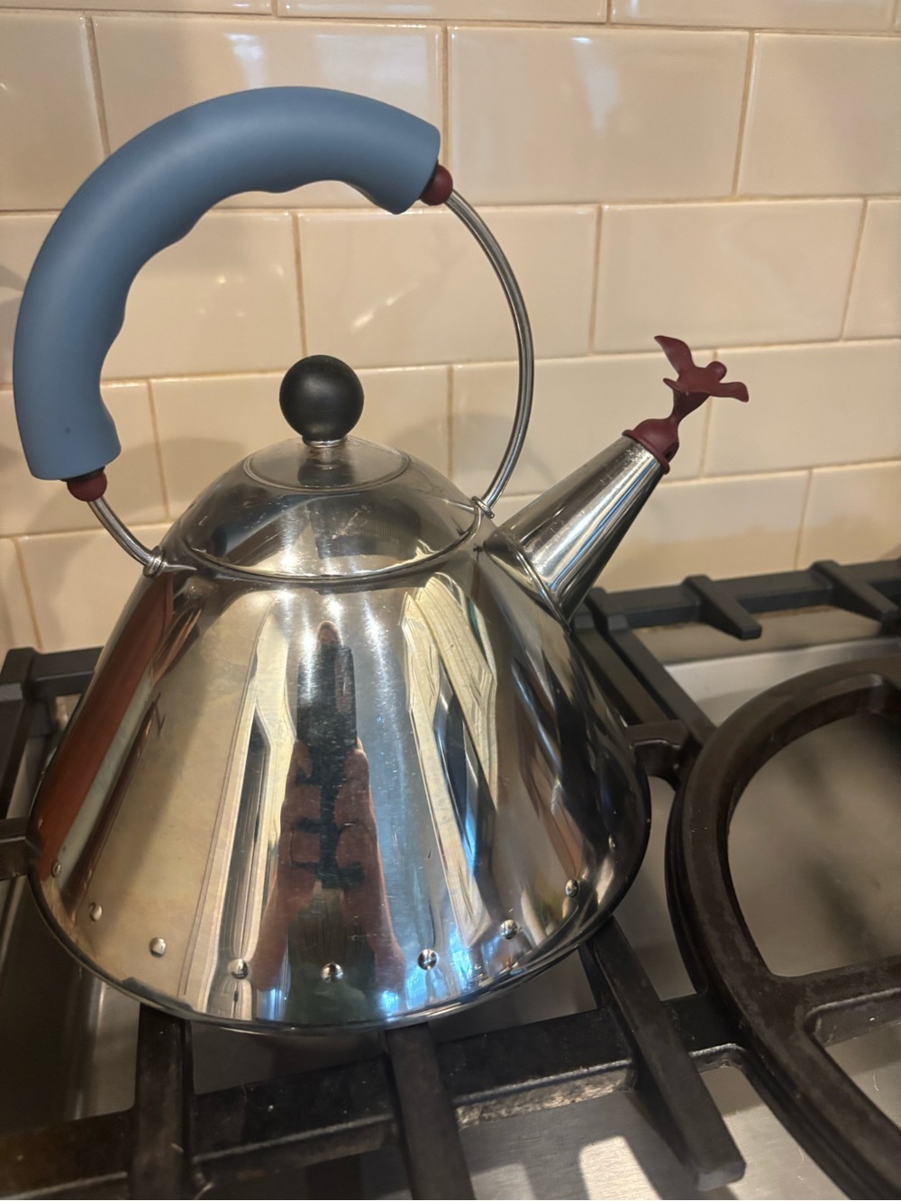 Alesia Blue-Handled Stainless Steel Whistling Tea Kettle